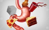 Digestive frequent diarrhea gut