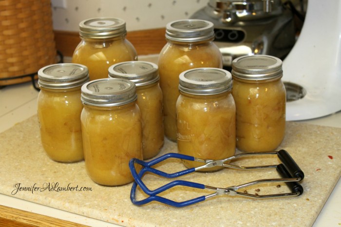 Apple sauce recipe for canning