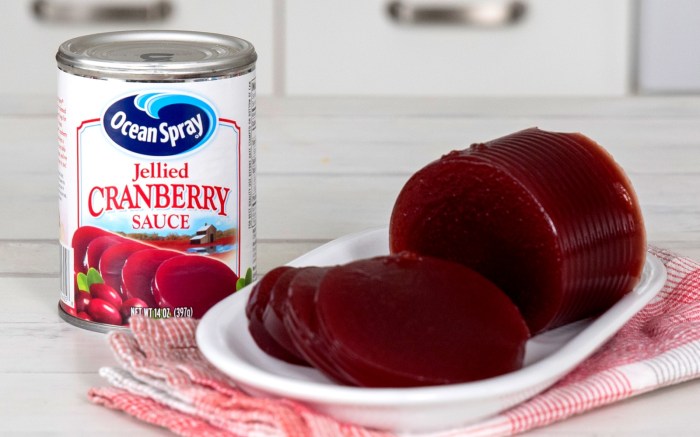 Best ocean spray cranberry sauce recipe