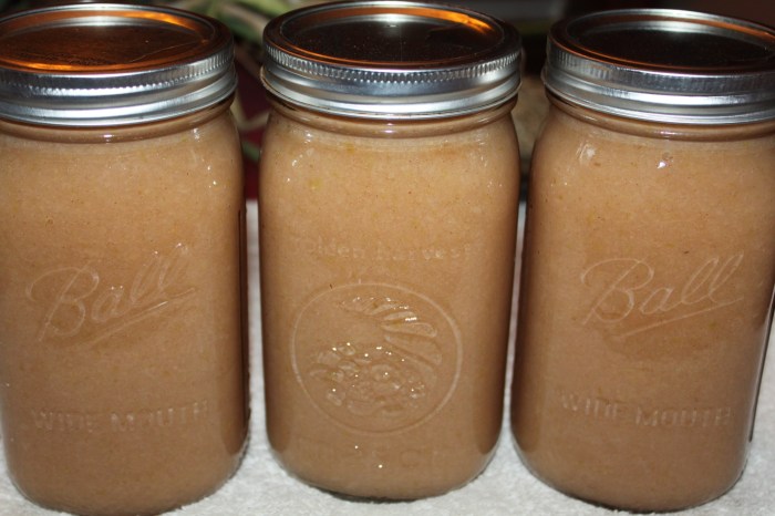 Apple sauce recipe for canning